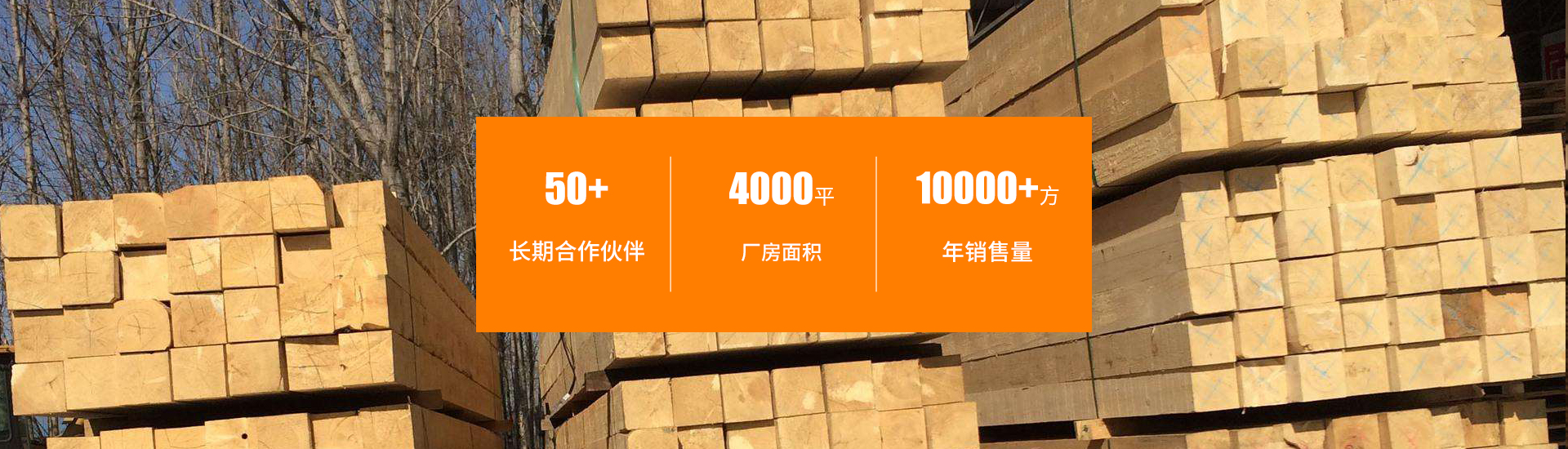 怀化市周旭木业有限公司_湖南建筑木材加工销售|湖南实木家具材加工销售|湖南包装箱板材加工销售