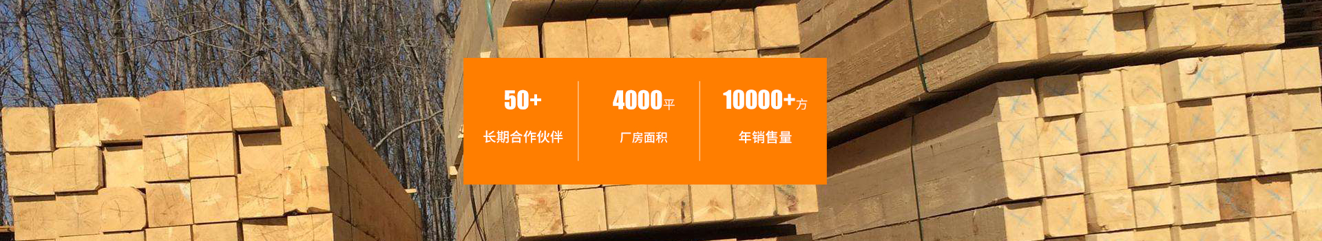 怀化市周旭木业有限公司_湖南建筑木材加工销售|湖南实木家具材加工销售|湖南包装箱板材加工销售